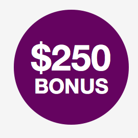 $250 IRA Bonus