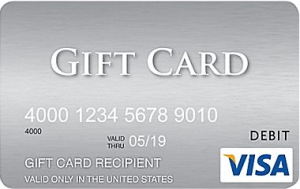 Purchase $1,000 Visa Gift Cards Online w/ Free Ground Shipping