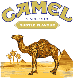 Camel