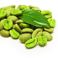 FTC Green Coffee Bean Extract