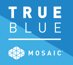 Mosaic True Blue