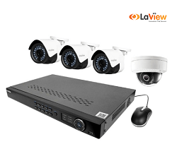 LaView Security System