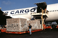 Air Cargo Class Action Lawsuit