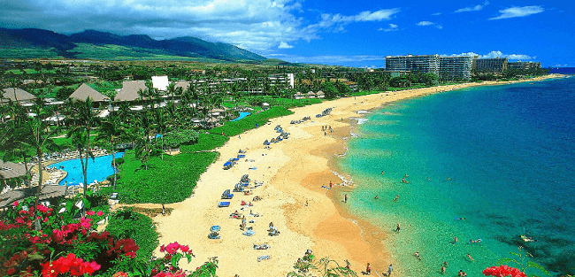 Hawaii View