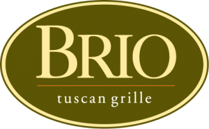 brio-3-color-logo