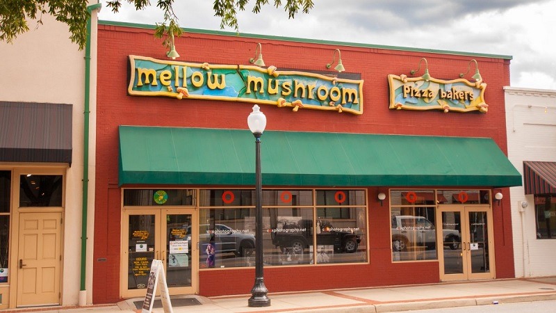 Mellow mushroom birthday coupon