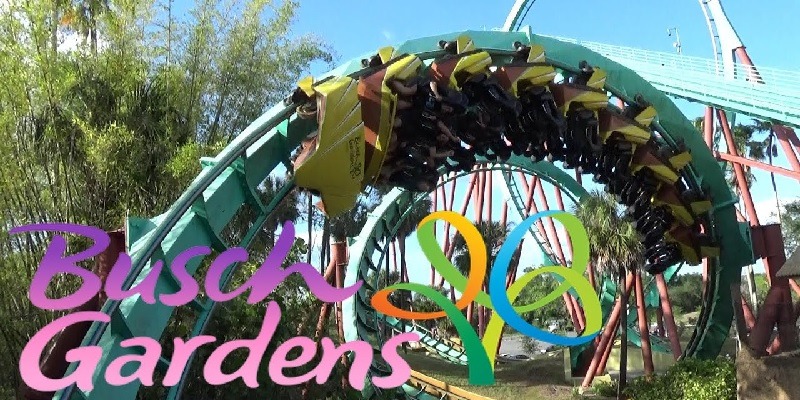 Busch Gardens Promotions Buy 2020 Busch Gardens Fun Card