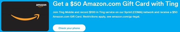 Ting Amazon GC Promotion