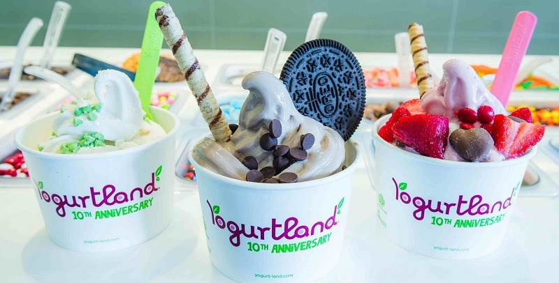 Yogurtland Promotion