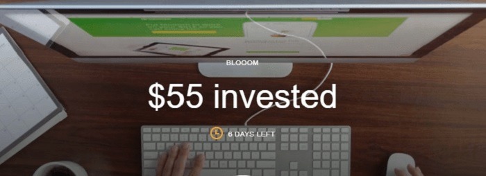 Acorns Promotion