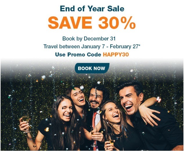 30% Off End of Year Sale Coupon