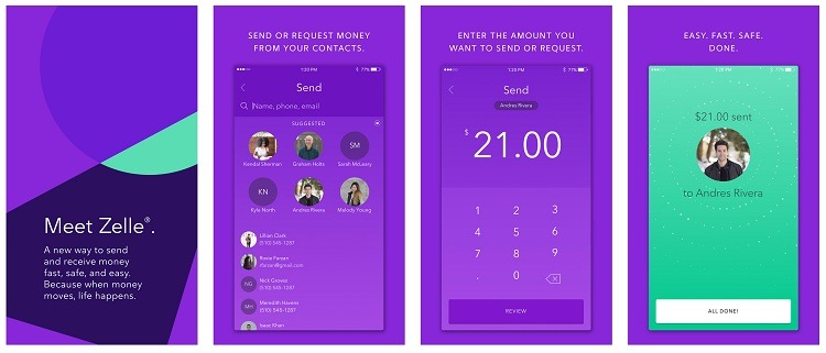 Zelle Review