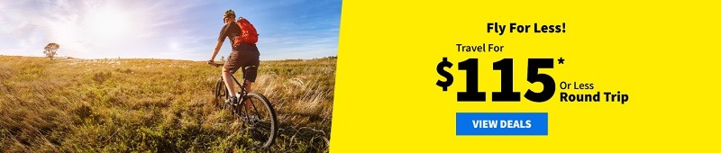 spirit airlines 115 flights round trip