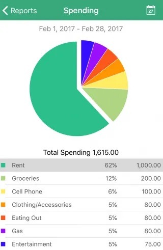 Goodbudget Customized Report