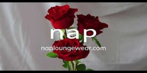 Nap Loungewear Promotions: $20 Off Your First Purchase & Give $20, Get $20 Referrals