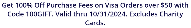 thegiftcardshop visa