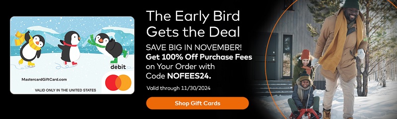 mastercardgift card no purchase fee promo