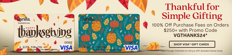 vanillagift promotion