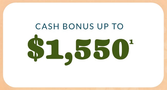 Skyla Credit Union Checking Bonus